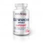 Антиоксидант Be First Echinacea extract capsules 90 капс