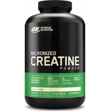 Креатин Optimum Nitrition Micronized creatine 600 гр