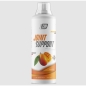 Хондропротектор 2SN Joint Support Concentrate 500 мл