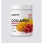 Коллаген ENDORPHIN Collagen with Prebiotics 180 гр