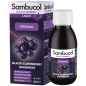 Витамины Sambucol Black Elderberry Original Liquid 120 мл
